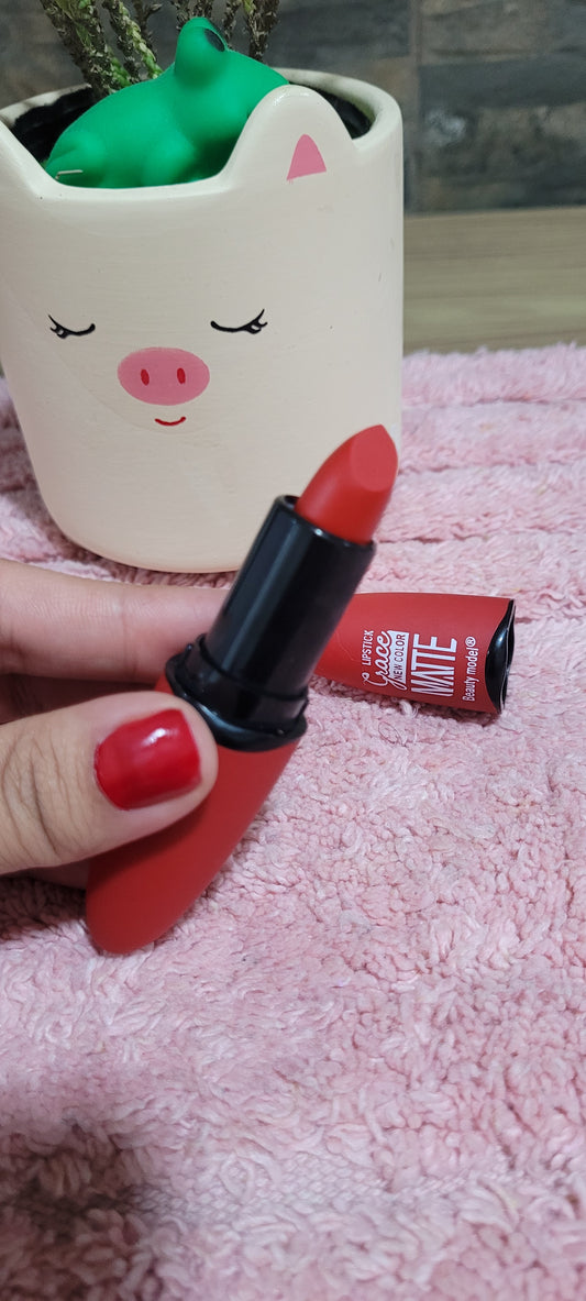 Labial matte beauty model